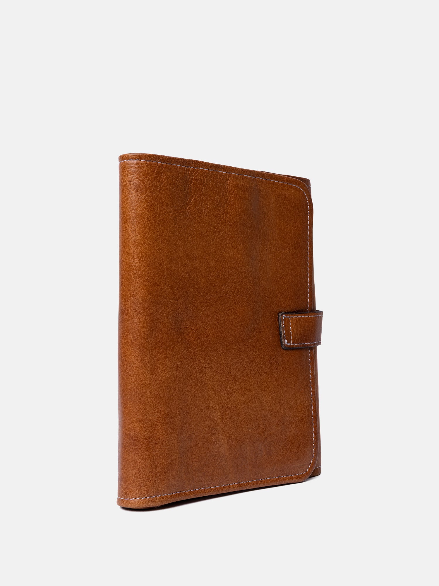 PROJECT Project 14 Needle Case Burned Tan/Gold